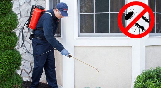 Kiğı Kemirgen İlaçlama böcek ilaçlama ve haşere kontrolü — ilaclama-tr.com